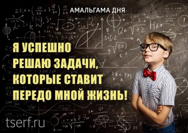 Амальгама дня