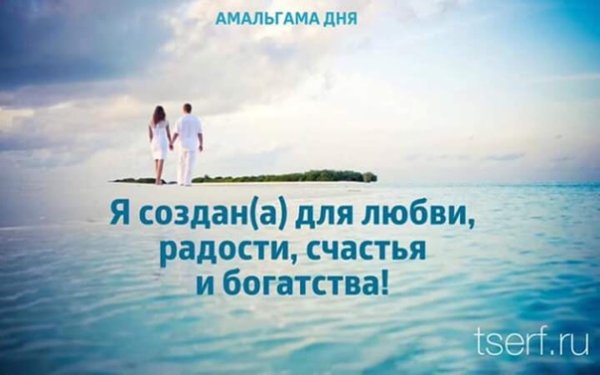 Амальгама реальности