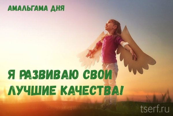 Амальгама дня