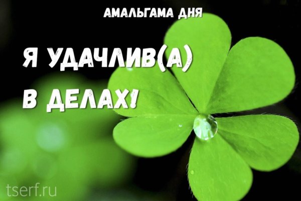 Амальгама пломбировочный материал