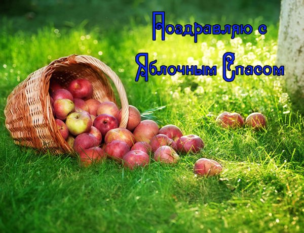 С преображением Господним и яблочным Спасом