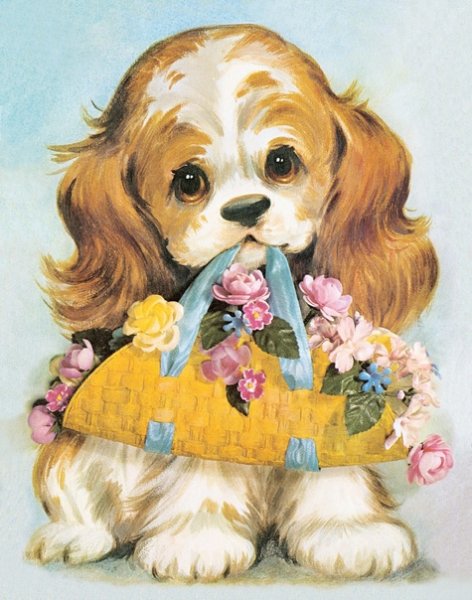 Открытка «собачки»