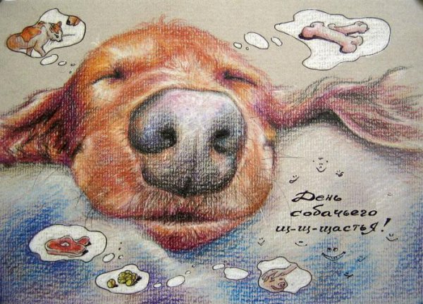 День собачьего счастья
