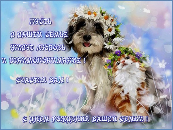 Поздравительные открытки с животными