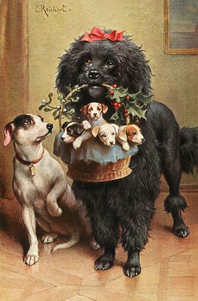 Carl Reichert Пекинес