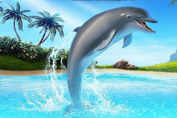 Китов и дельфинов