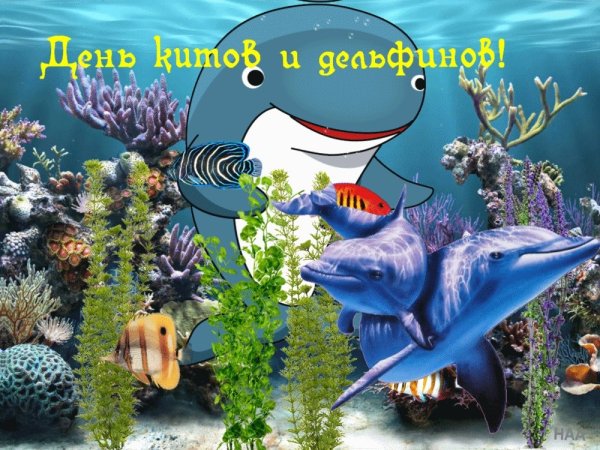 23 Июля Всемирный день китов и дельфинов