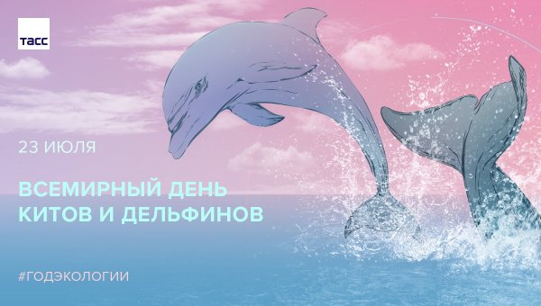 23 Июля - Всемирный день китов и дельфинов (с 1986 г.)