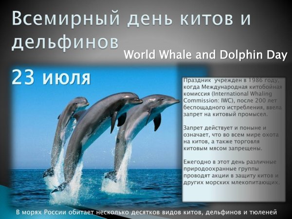 Всемирный день китов