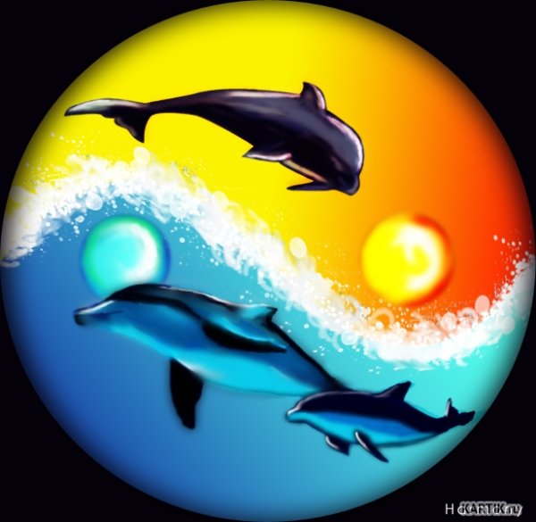 Плакаты с дельфинами