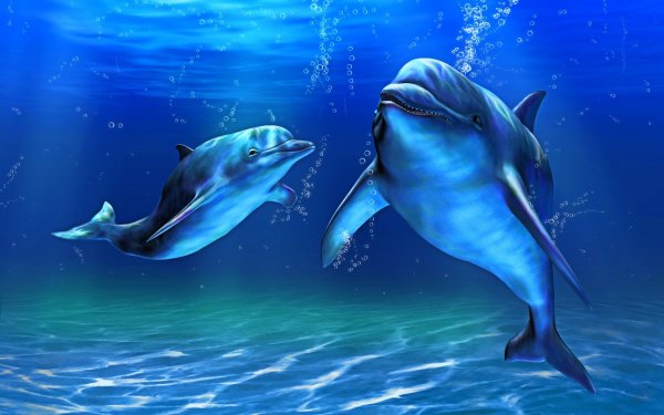 Анимированные дельфины