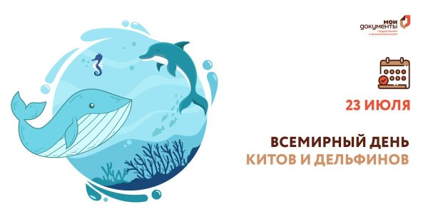 Дельфины презентация