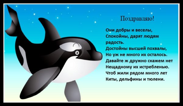 Кит и Дельфин