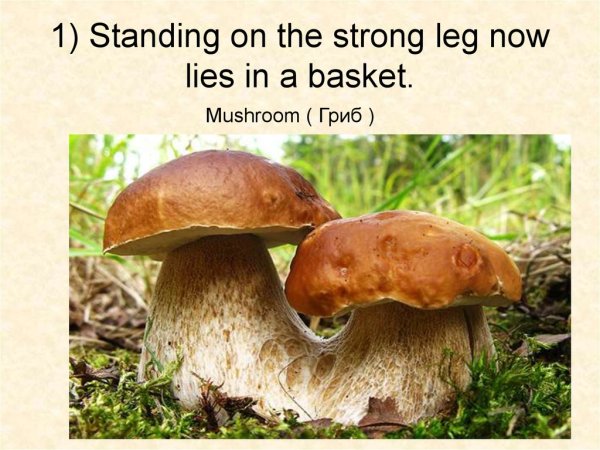 Народный праздник день Акилы