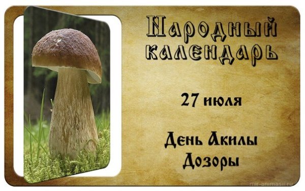 День Акилы 27 июля