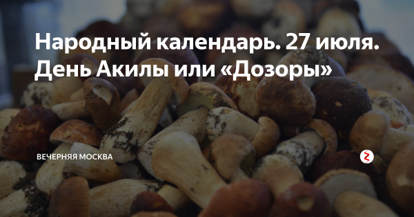 День Акилы дозоры 27 июля