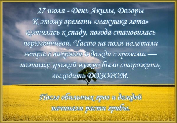 День Акилы дозоры 27