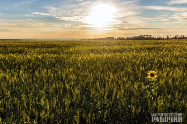 День Акилы дозоры картинки и фото