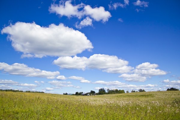День Акилы соломенного