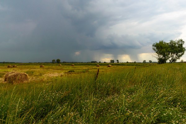 27 Июля народные приметы