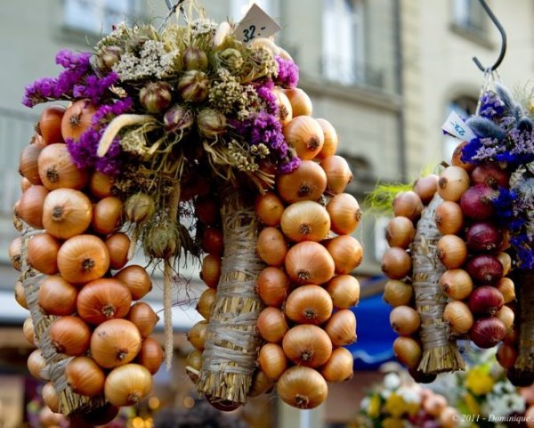 Народный праздник луков день