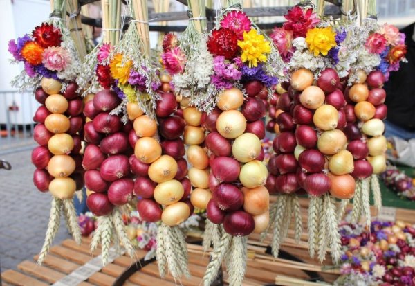 Фестиваль-ярмарка "лука - море"