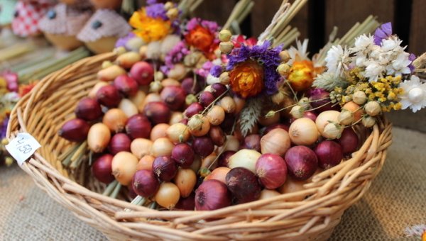 Всероссийский день лука