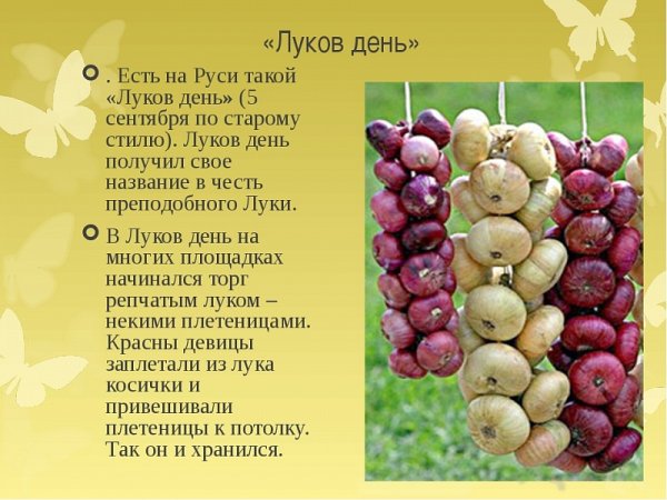 Луков день 20 сентября