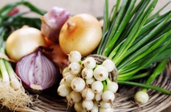 Лука, луков день.