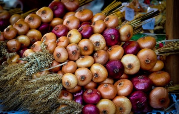 Луковый фестиваль в Веймаре