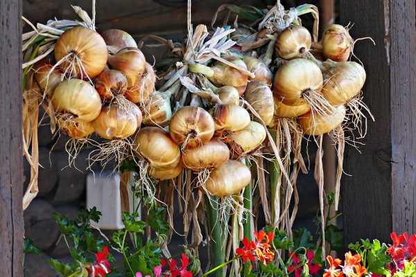 Клубневые овощи