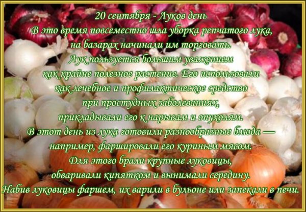 Народный праздник луков день