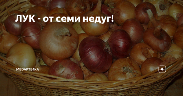 Лука голодный (луков день)