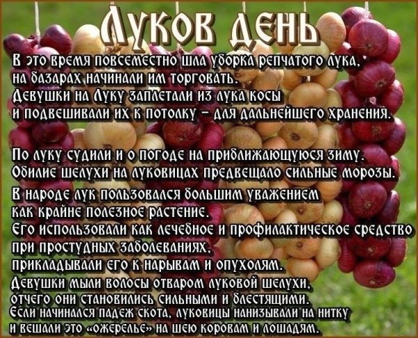 Луков день 31 октября