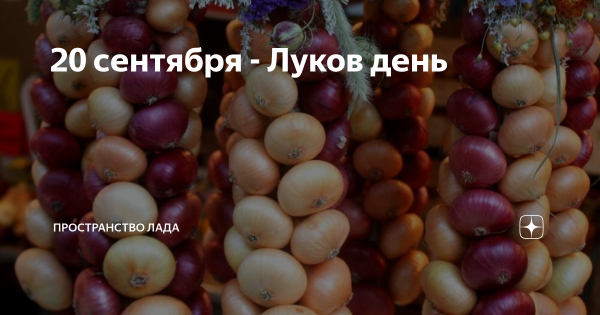 20 Сентября луков день Луковница