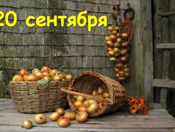 20 Сентября день лука