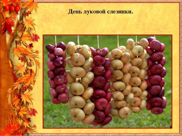 Луков день на Руси