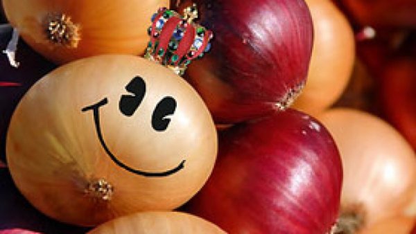 Луков день рисунки