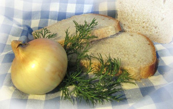 День Луки (Могущница)