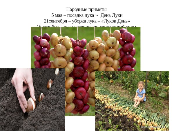 5 Мая приметы