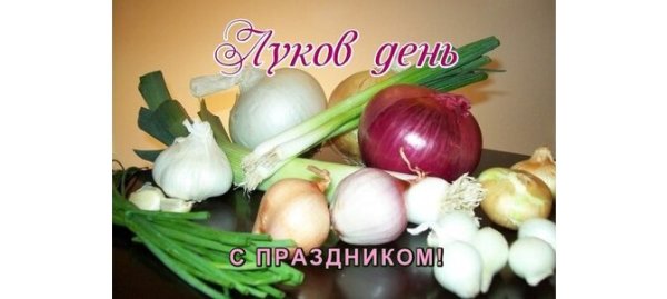 День лука