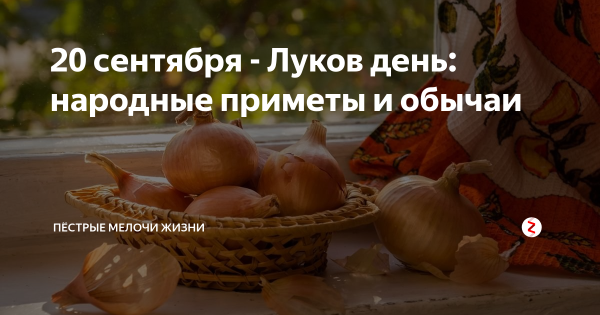 Луков день 20 сентября