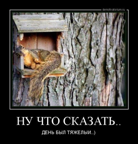 Это был тяжелый день