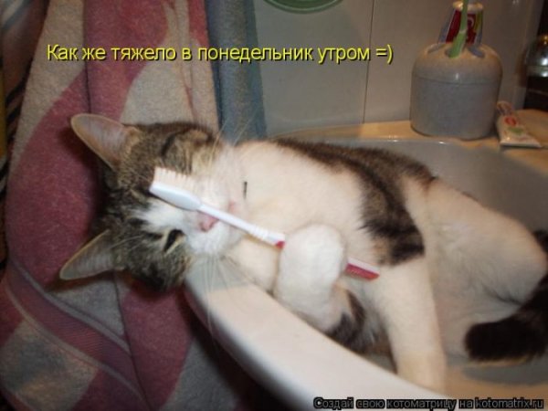 Понидельник день тяжёлый