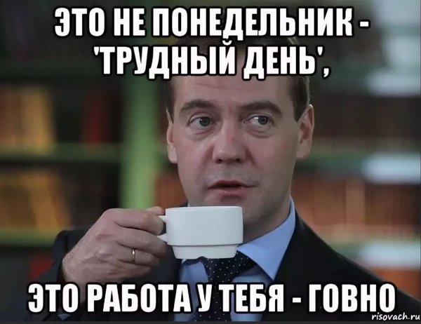 Спасибо за внимание Медведев