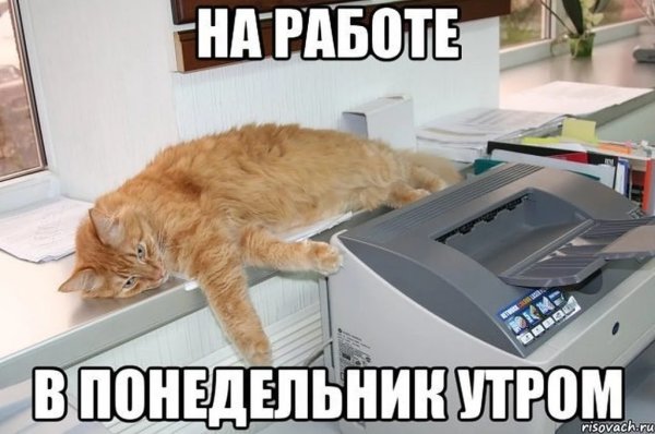 Утро понедельника