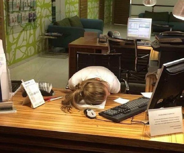 Спит на работе смешные