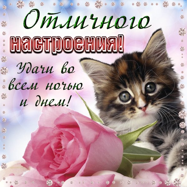 Открытки с добрым утром прикольные