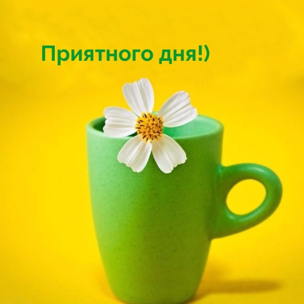 Доброго дня и хорошего настроения