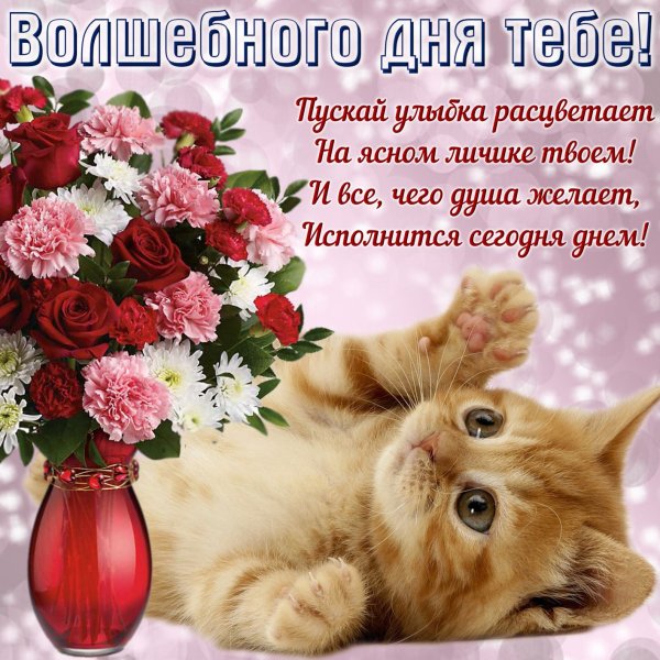 Добрые пожелания